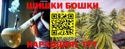СК Обь