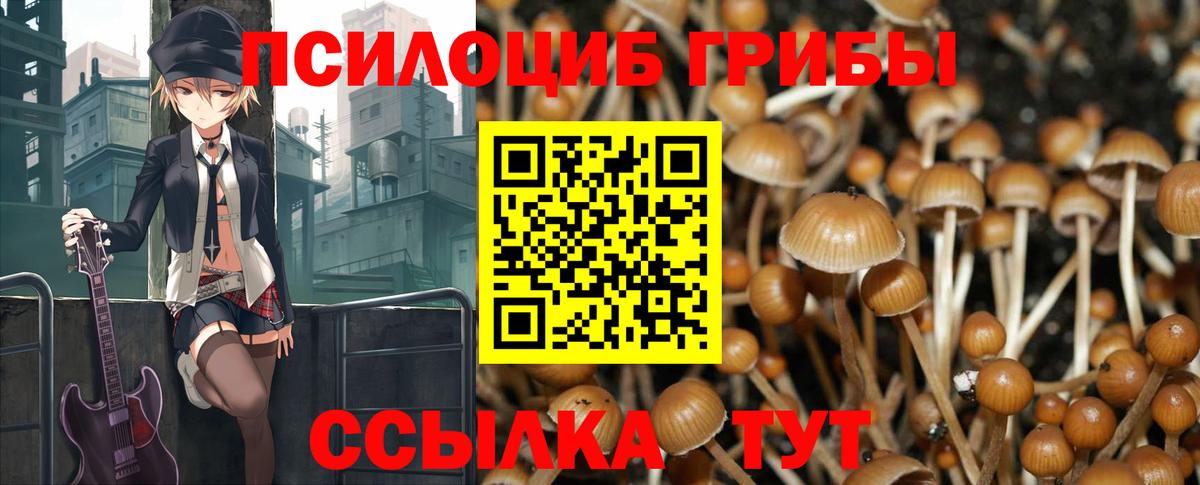 Сертолово  Галлюциногенные грибы MAGIC MUSHROOMS  дарнет шоп  Вход с VPN  Галлюциногенные грибы мухоморы 