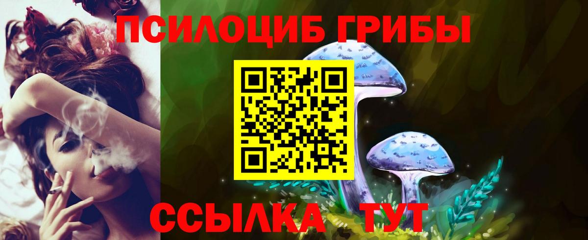Галлюциногенные грибы Psilocybine cubensis  Вход с VPN  Сертолово 