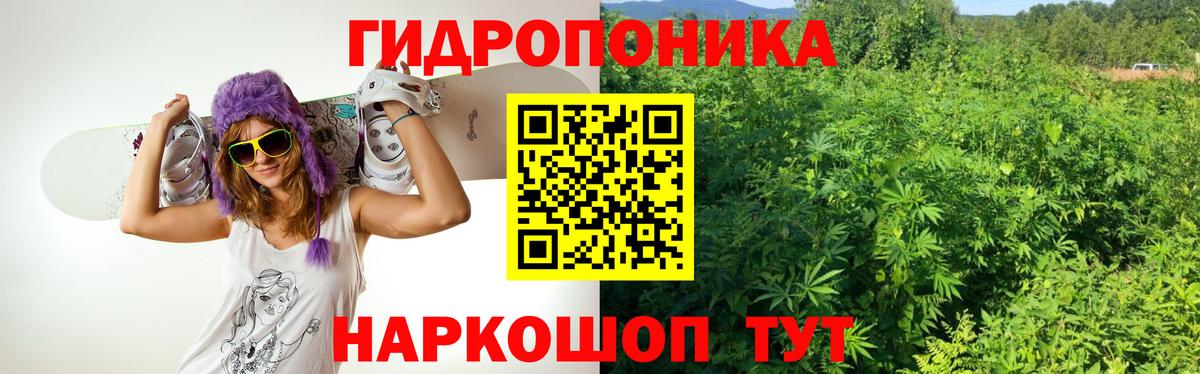 Каннабис план  Вход с VPN  Сертолово  Канабис планчик 